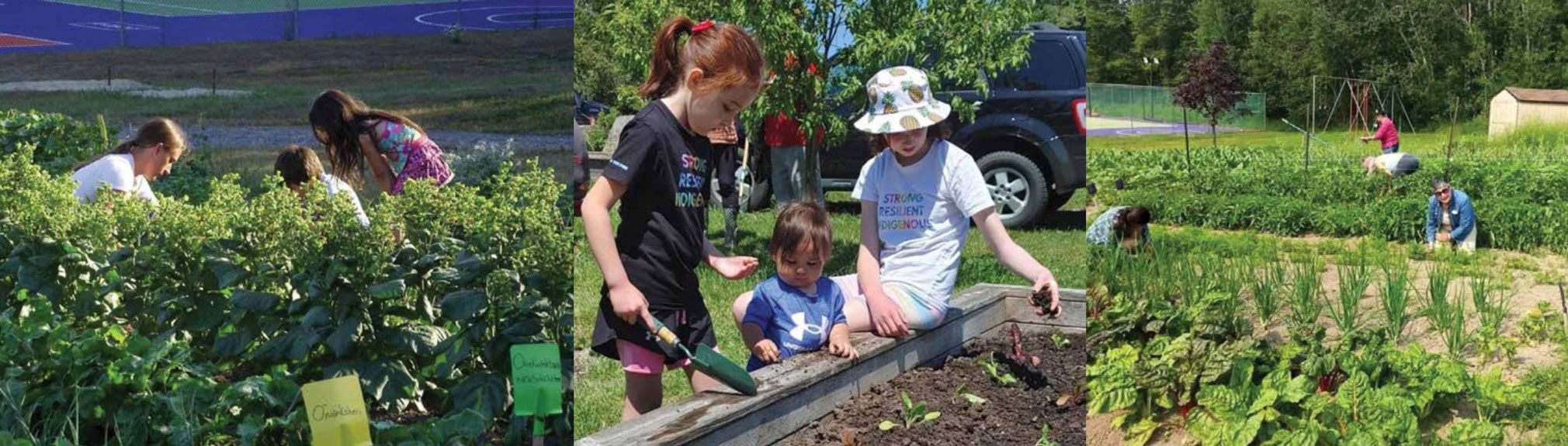 Triptych: Three phots of community members in a community garden