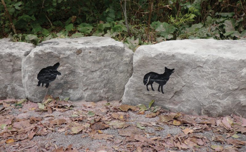 boulders with images of animals on them