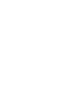 Ajijaak - Crane