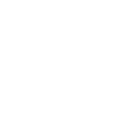 checklist icon